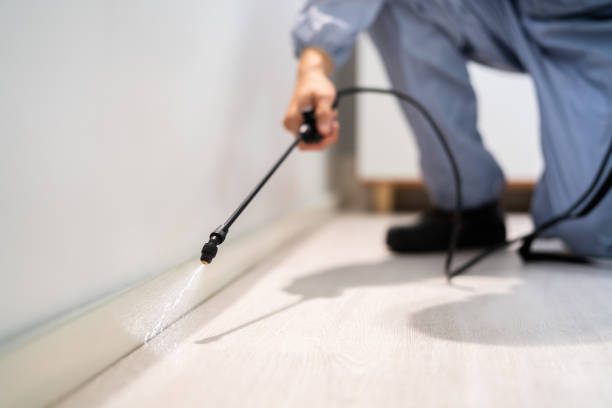 Licensed Mosquito Control service in Wyboo, SC - Show Me Pest Control