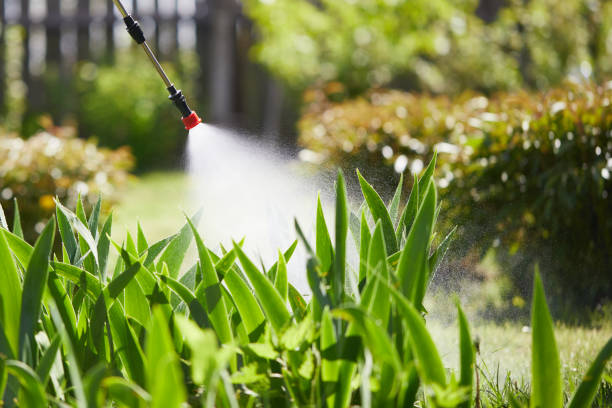 24/7 Emergency Mosquito Control experts in Wyboo, SC