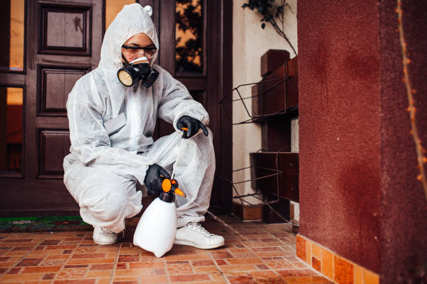 Reliable Mosquito Control contractor in Wyboo, SC by Show Me Pest Control