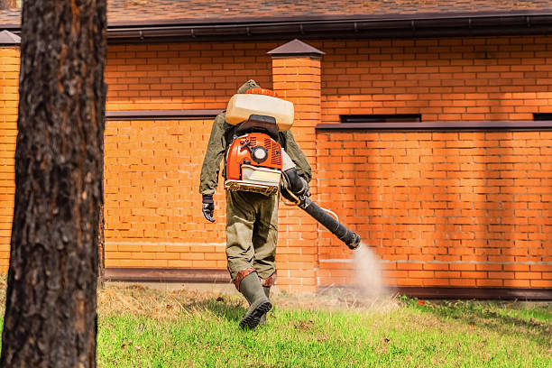 Top rated local Mosquito Control specialists in Wyboo, SC